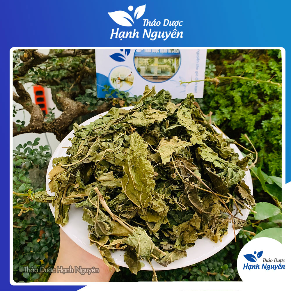 Dried Mulberry Leaves 500g (Tang Diệp)
