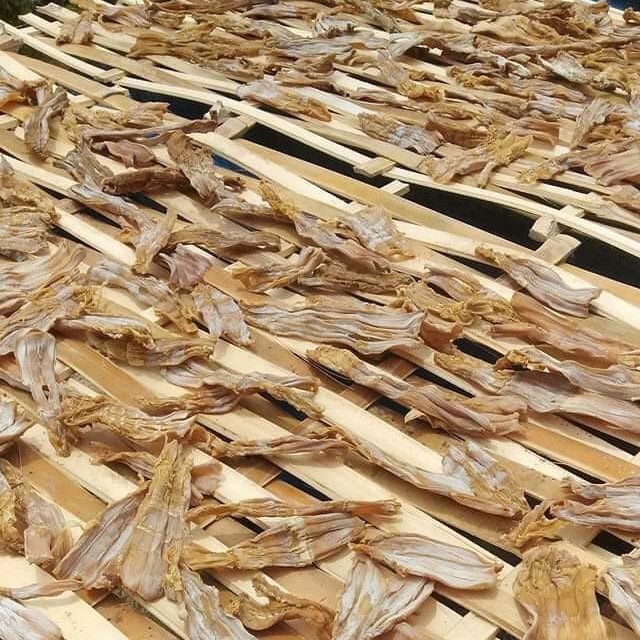 Măng rừng khô 1000gr
