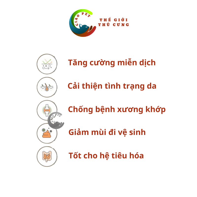 [1kg] Thức Ăn Hạt Cho Chó Dog Classic