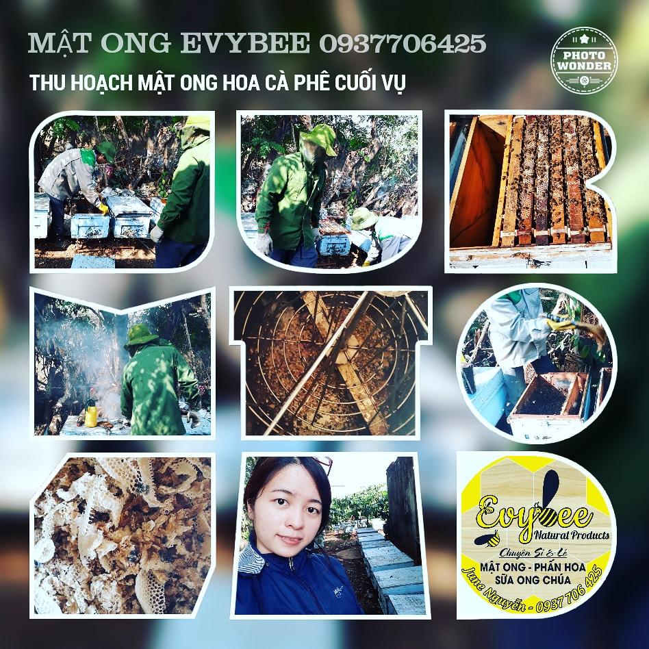 1 LÍT MẬT ONG RỪNG KEO