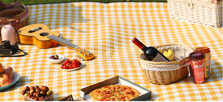 Thảm đi dã ngoại, Picnic Hàn Quốc