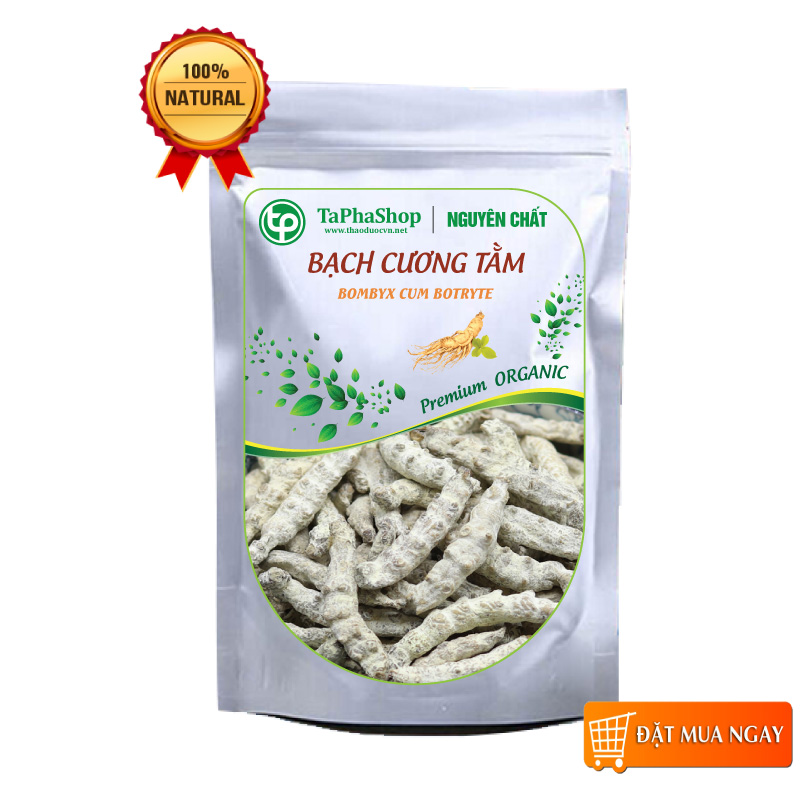 Bạch cương tằm 500g - Thảo Dược Tấn Phát