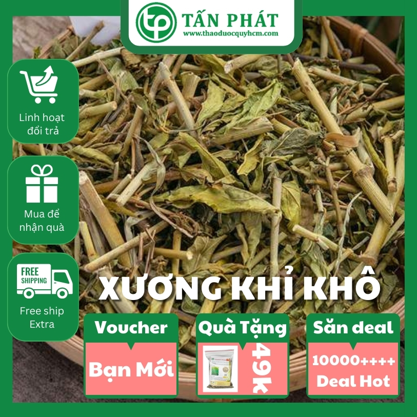 [Túi 1kg giá rẻ] Cây xương khỉ sấy khô 1kg - Thảo Dược Tấn Phát - Chuyên dùng để pha trà và sắc nước uống