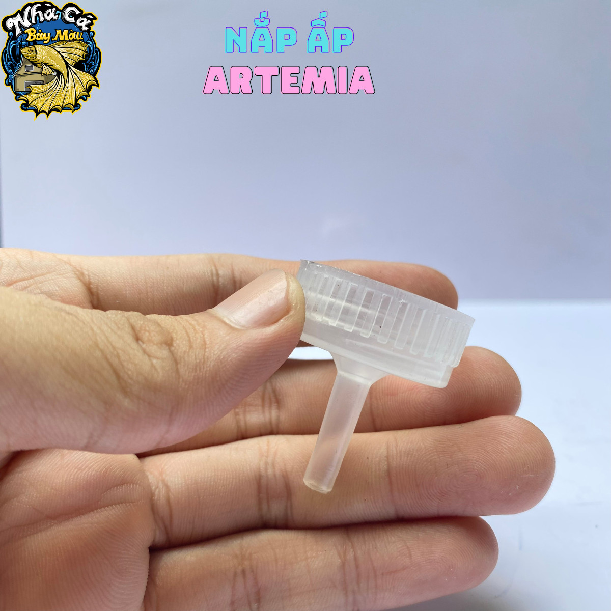Nấp ấp artemia, dụng cụ ấp nở artemia
