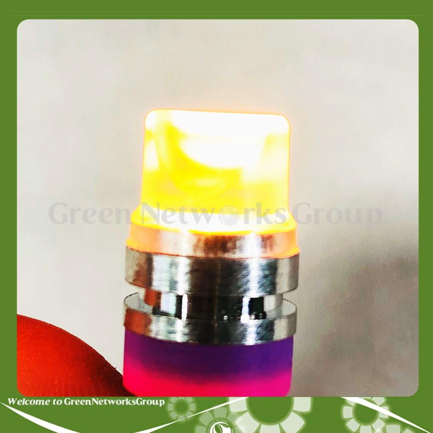 Đèn xi nhan 7 màu chân T10 Greennetworks ( 1 Cặp )