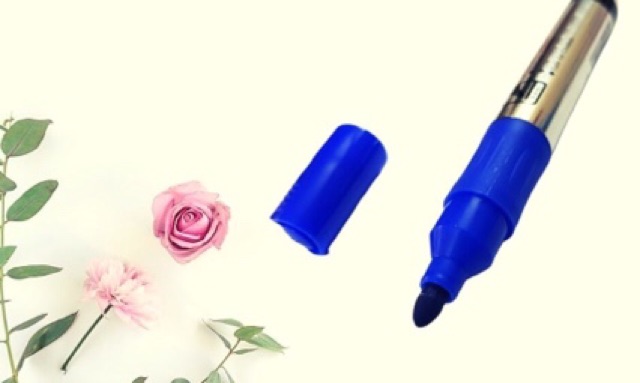 [HCM]BÚT LÔNG BẢNG THÁI LAN