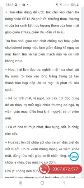 Cây giống nhài ta thơm nức