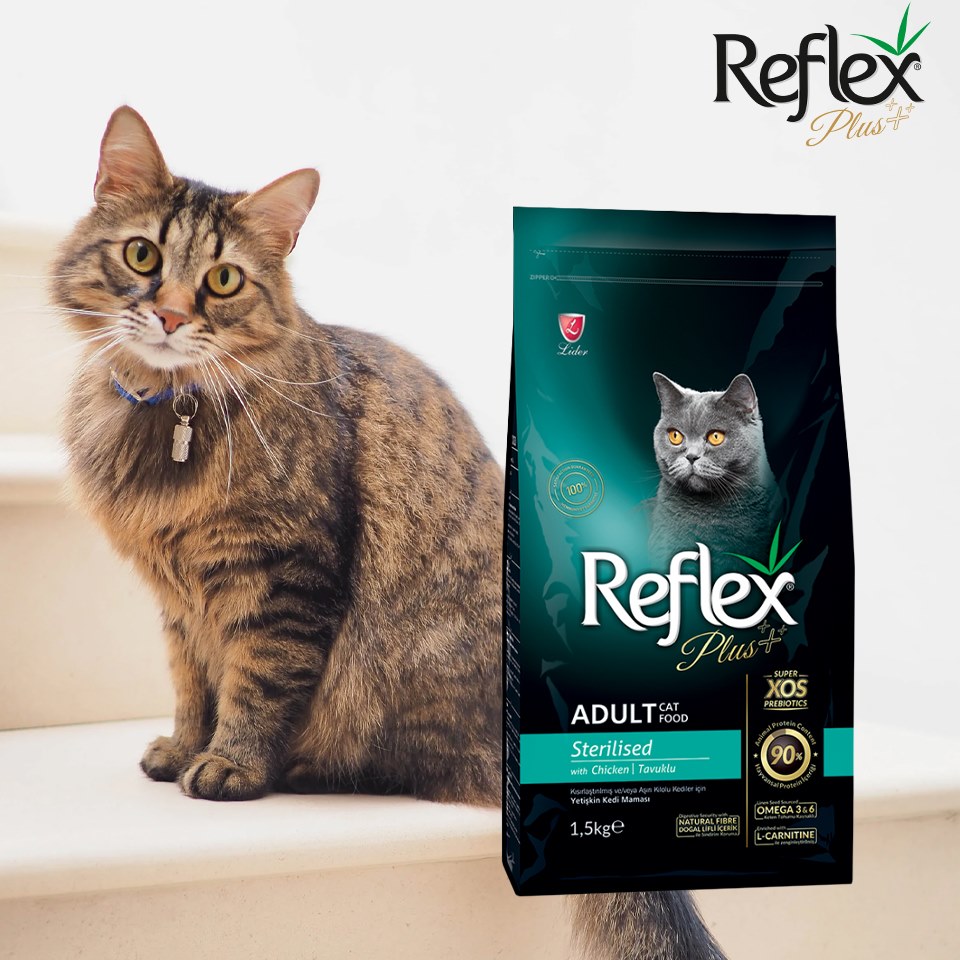 Hạt Reflex Plus cho mèo các loại túi 1,5kg