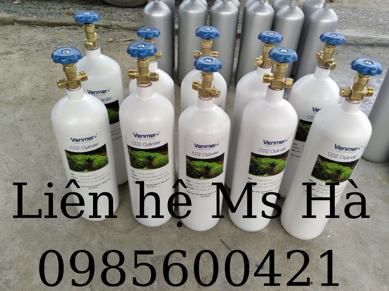 Bán bình khí thuỷ sinh CO2