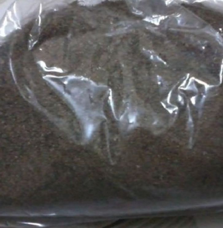 Hạt giống cây Ích mẫu - ( cây dược liệu - 50 hạt )