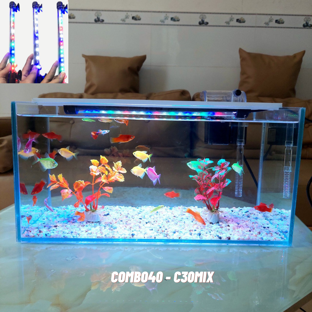 Bể cá mini 40cm COMBO đầy đủ phụ kiện