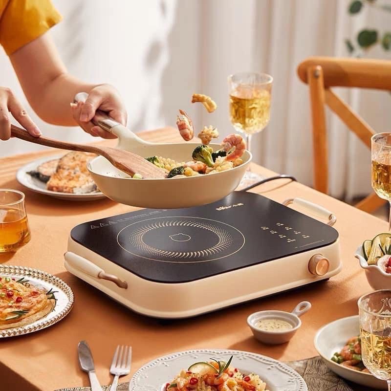 Infrared Stove Is Not Picky Bear A22D1