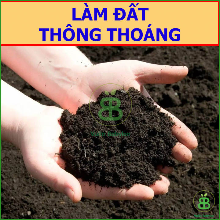 Phân Hữu Cơ Đậm Đặc Bounce Back Gói 1Kg