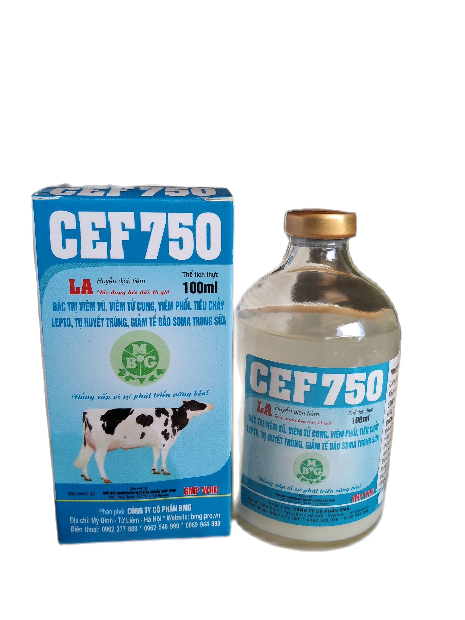 KHÁNG SINH CHUYÊN DÙNG CHO BÒ SỮA - LỢN NÁI - CEF750 - RUVET VIỆT NAM - DỤNG CỤ THÚ Y - THUỐC THÚ Y