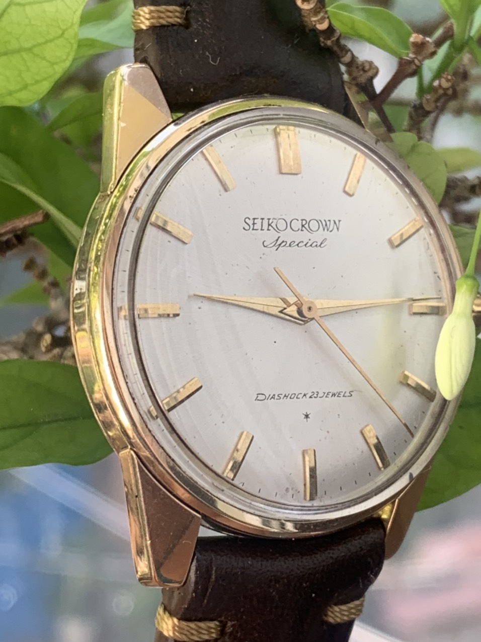 [HCM]Đồng hồ nam SEIKO CROWN bọc vàng toàn thân