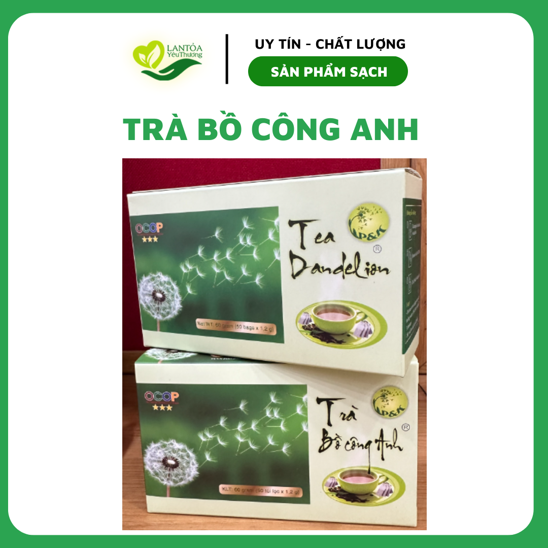 Trà Bồ Công Anh túi lọc