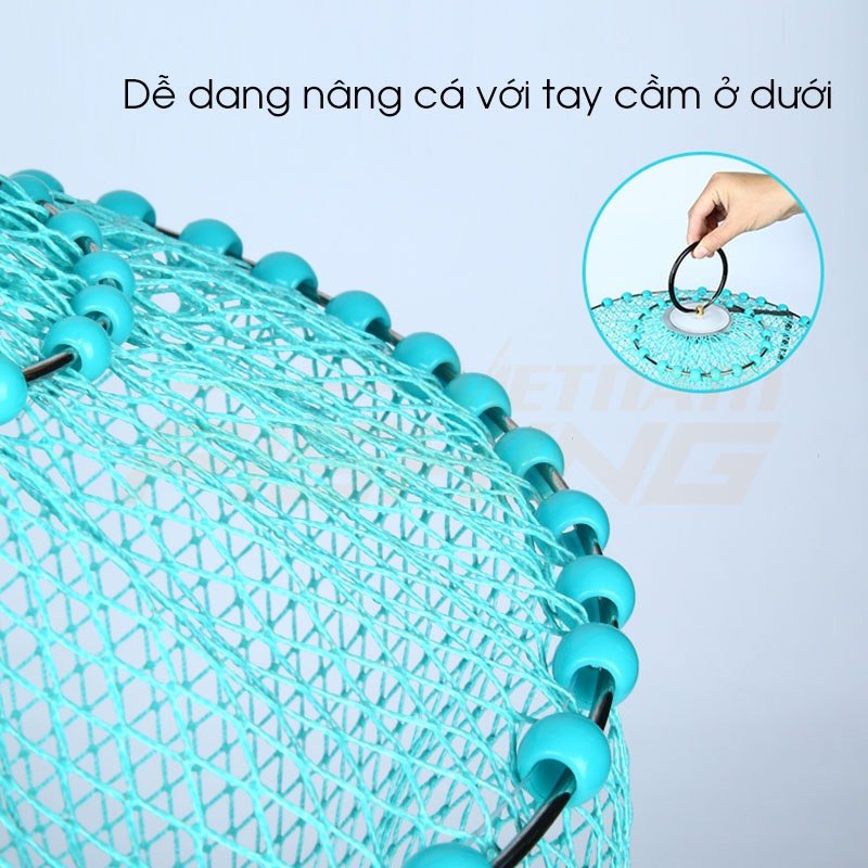 RỌNG ĐỰNG CÁ HUA XANH 2020