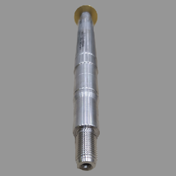Cốt Inox Bơm Nước Thái CR125 CR150
