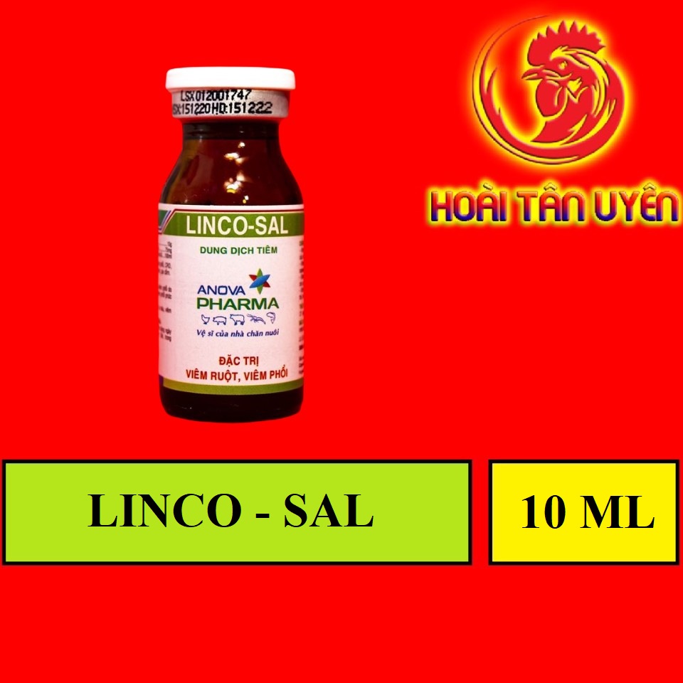 [ BD ] [ CHUYÊN SỖ MŨI ] Thuốc LINCO-SAL đặc trị sổ mũi cho gà đá 10ml