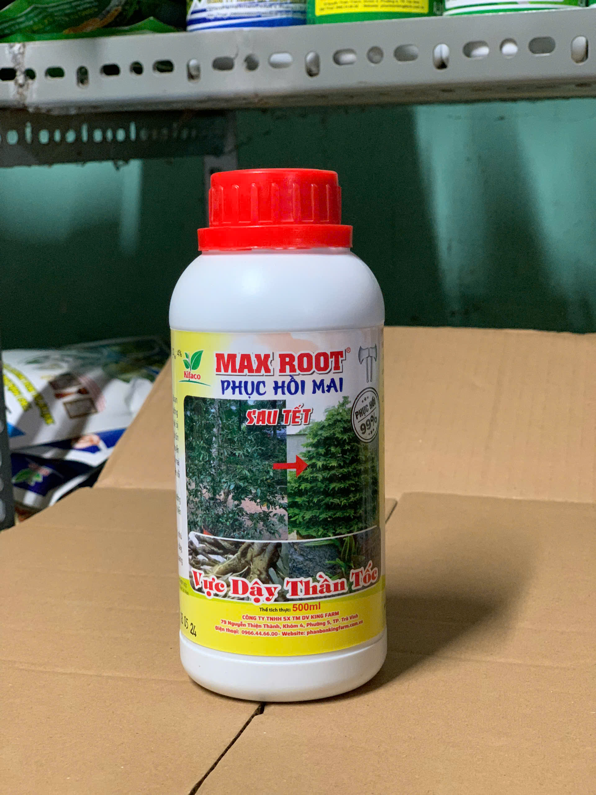 SIÊU PHỤC HỒI MAI VÀNG