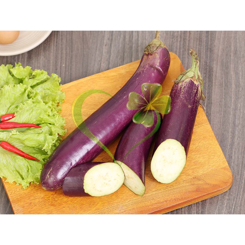 Hạt giống cà tím dài F1 - Gói 1g