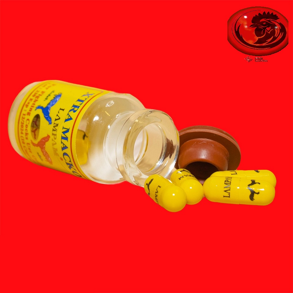 Xtra Macko - Nhộng vàng CHIẾC LẼ 2 VIÊN dành cho gà đá