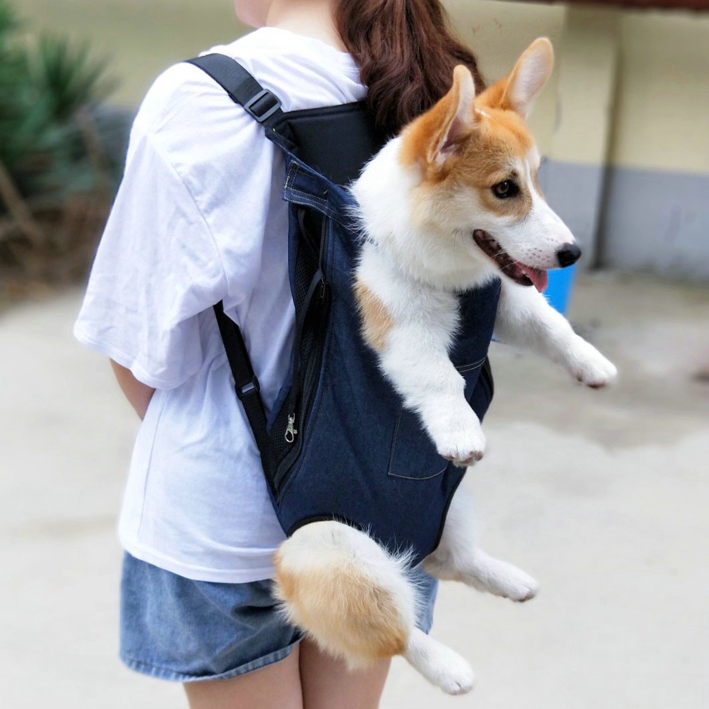 Địu yếm jean du lịch cho chó lớn
