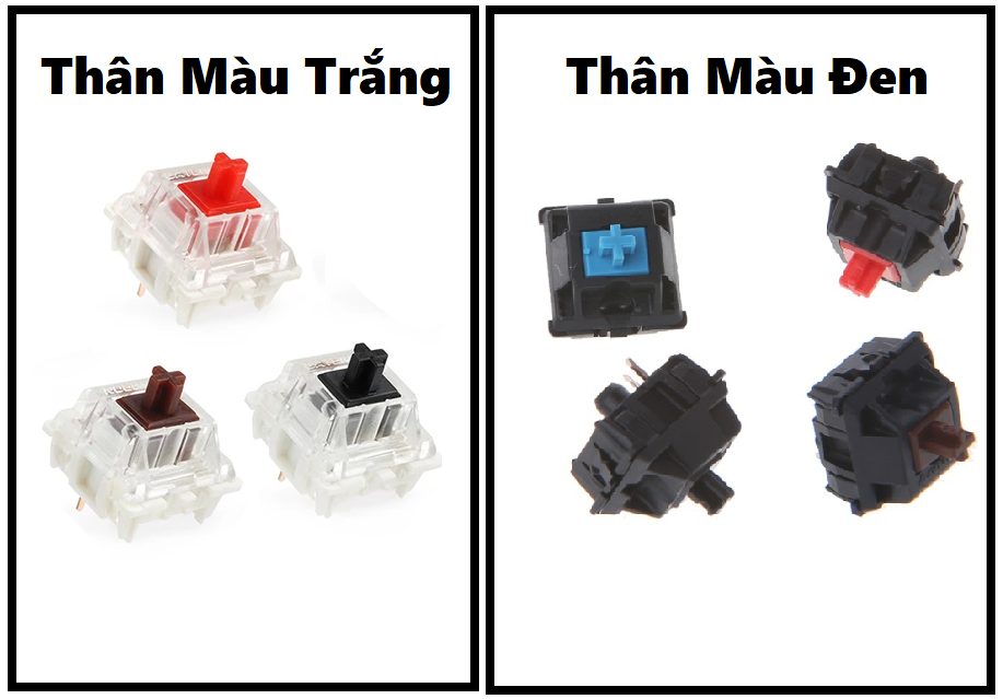 Switch phím cơ Coputa trục cơ bàn phím Blue Switch/Red Switch/Brown Switch/Black Switch