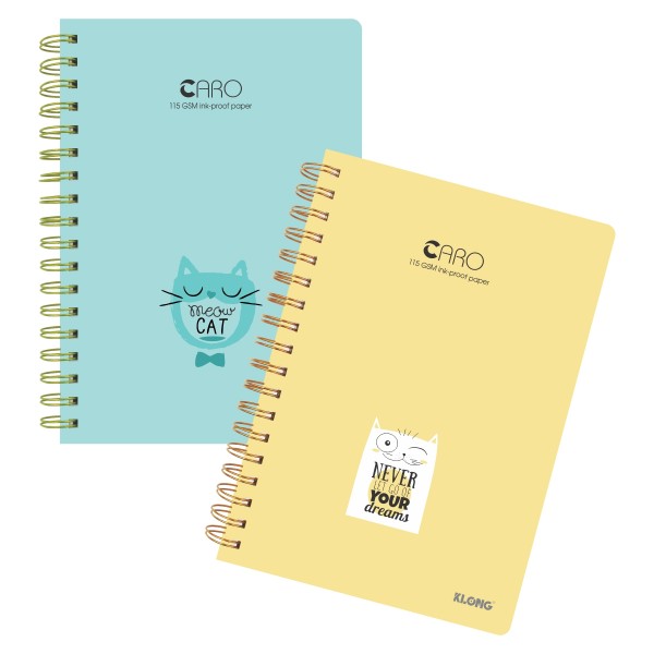 Sổ lò xo kép Caro B5 200tr (297)