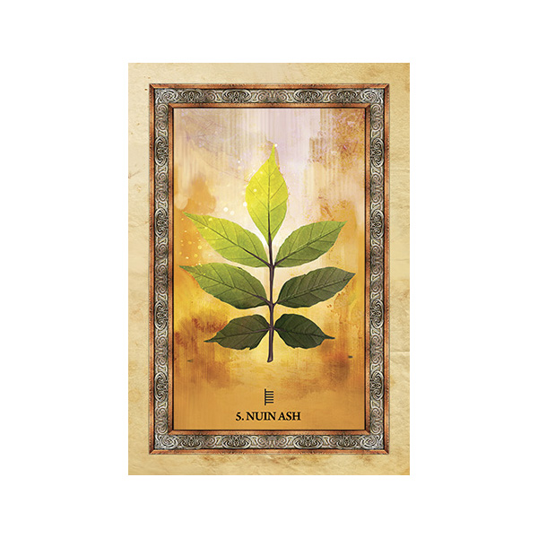Bộ Bài Celtic Tree Oracle (Mystic House Tarot Shop) - Bài Gốc Authentic Chính Hãng 100%