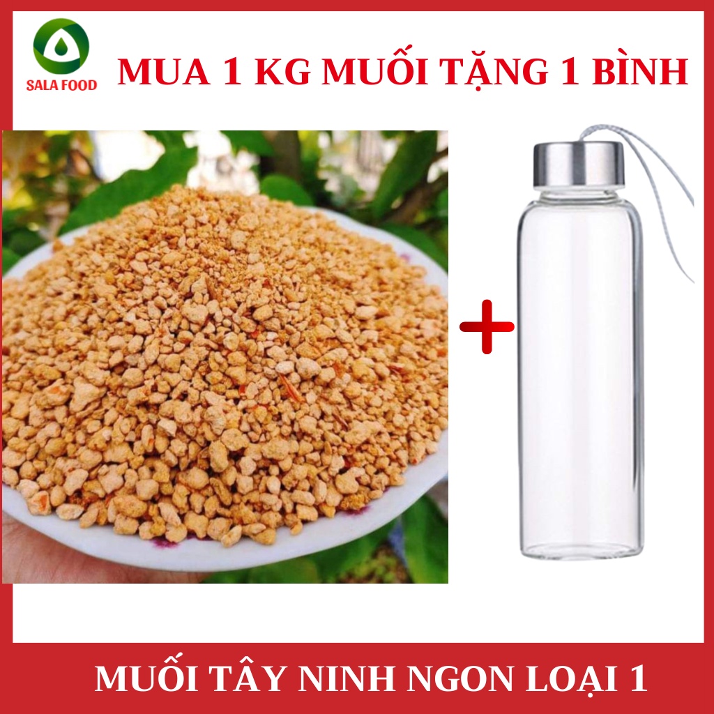 [COMBO 3 kg muối Tây Ninh loại NGON tặng 2 bình thủy tinh cao cấp chịu nhiệt] Combo 3 Kg muối Tây Ninh Loại 1 thơm ngon