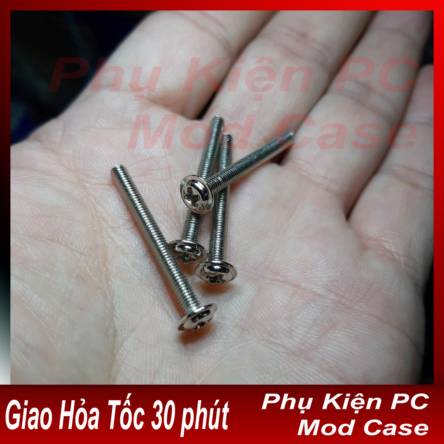 Ốc bắt main