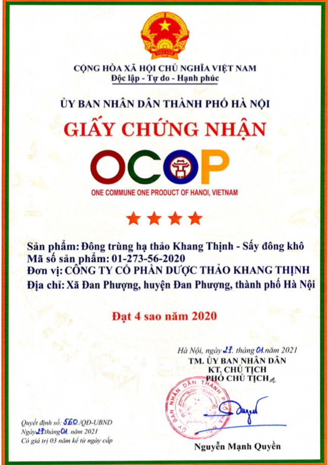 Đông Trùng Hạ Thảo Khang Thịnh khô -10g