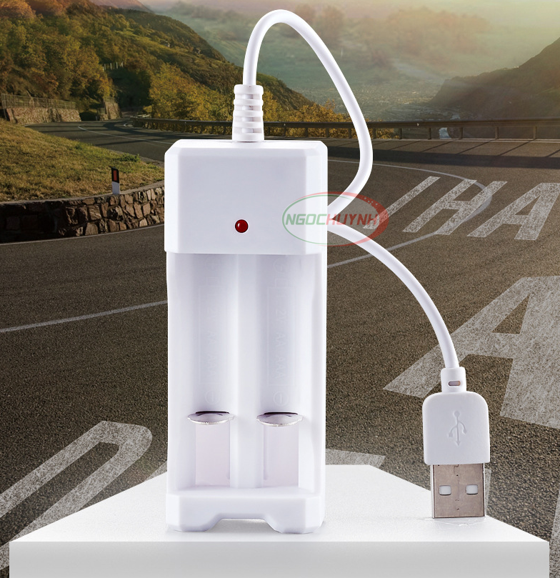 Bộ sạc 2 khe pin AA/AAA đa năng đầu USB