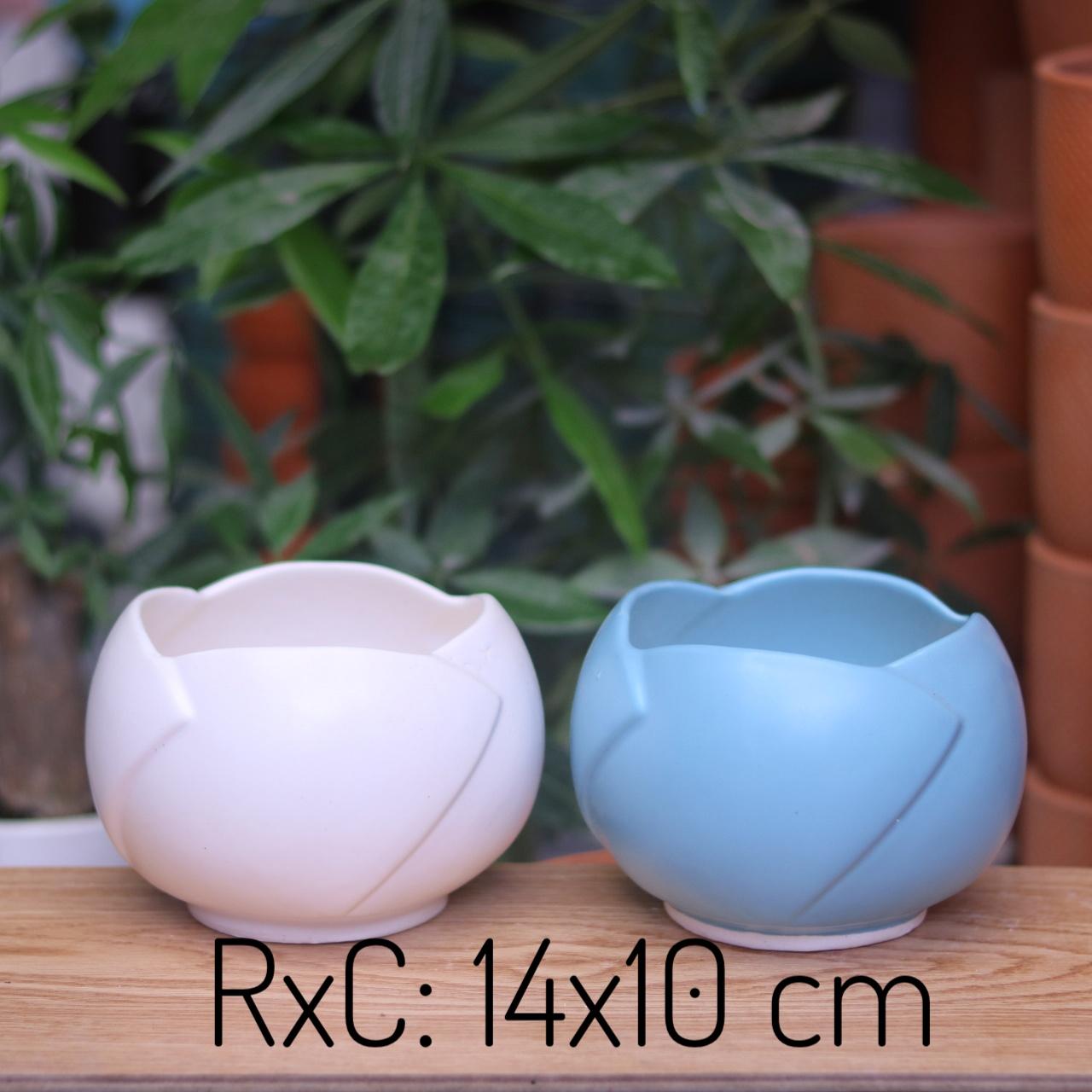 Chậu Sứ Trồng Cây Cảnh Để Bàn, Cây Nội Thất, cây hoa kiểng Hình Búp Sen
