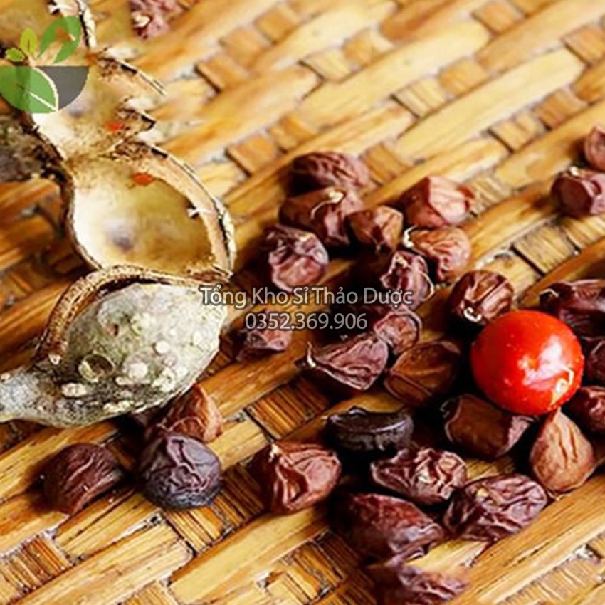 Hạt Dổi Nếp