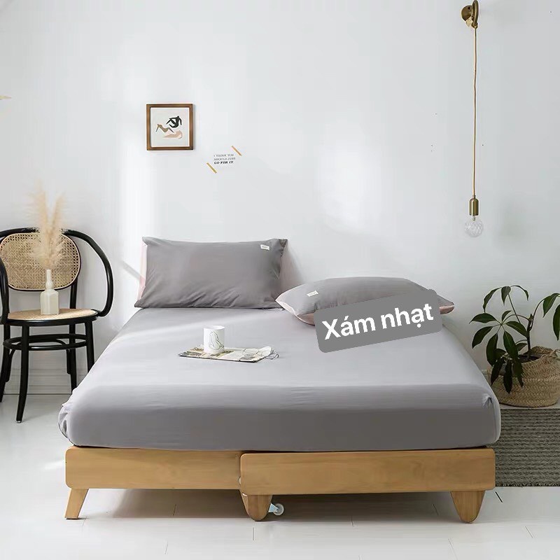 Sét ga gối cotton Tici phong cách hàn Quốc ( ga và 2 vỏ gối Tici )