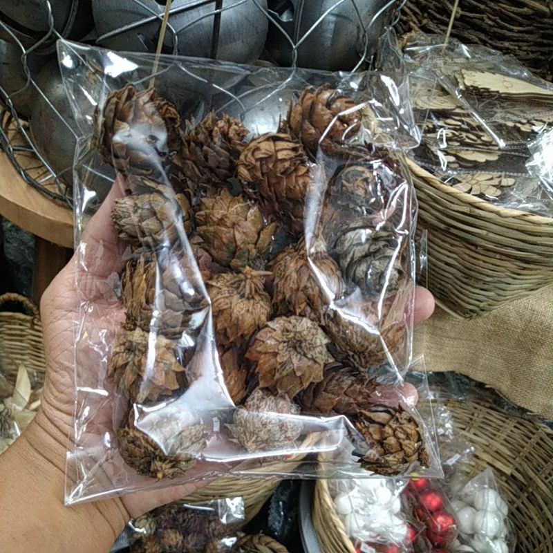 Set trái thông cánh mềm trang trí noel