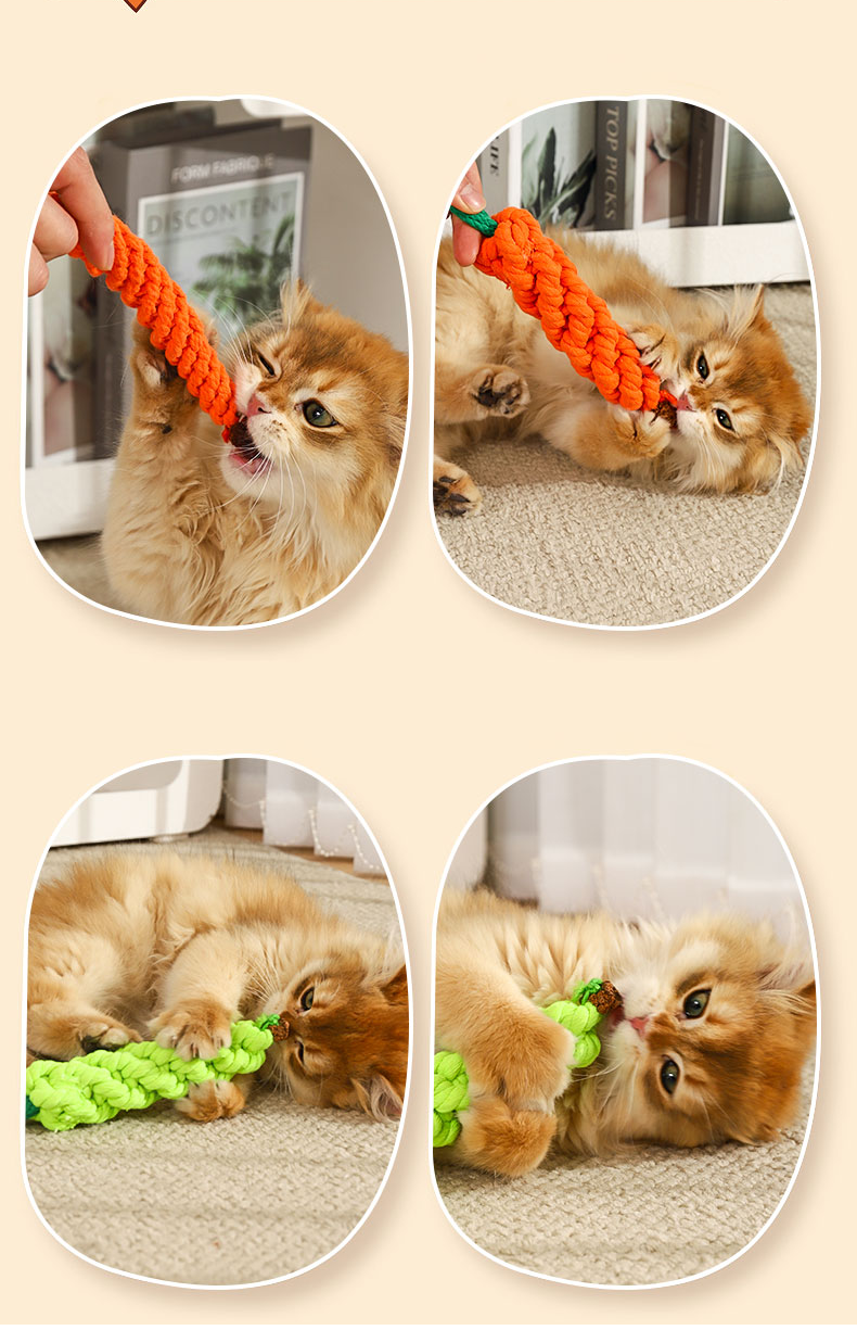 đồ chơi chó mèo - cà rốt thừng cho chó mèo - T3 PETS SHOP