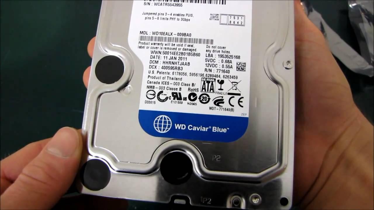 [HCM]Ổ cứng WD Blue 1TB 3.5