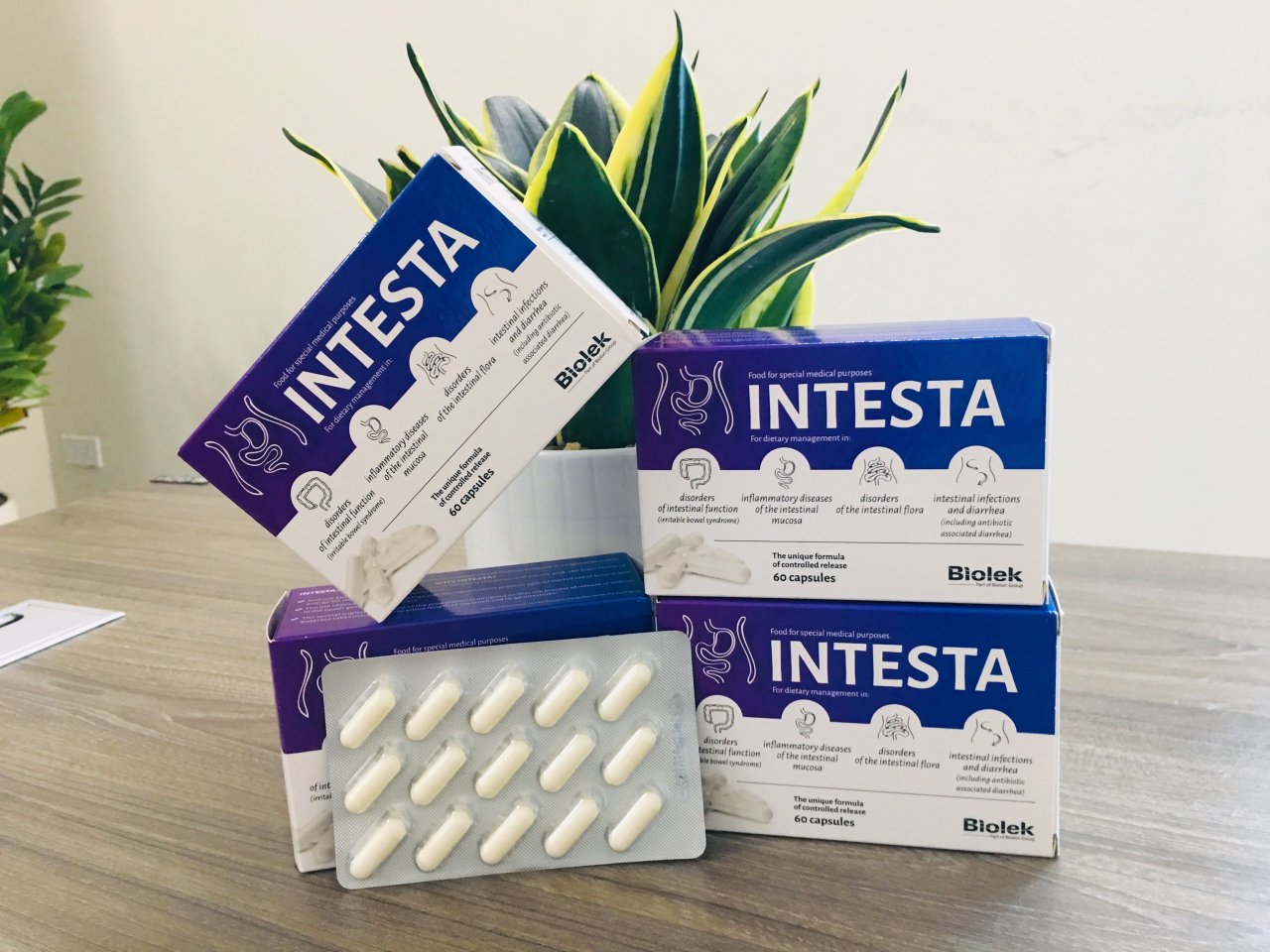Intesta - Sản phẩm cho bệnh đại tràng
