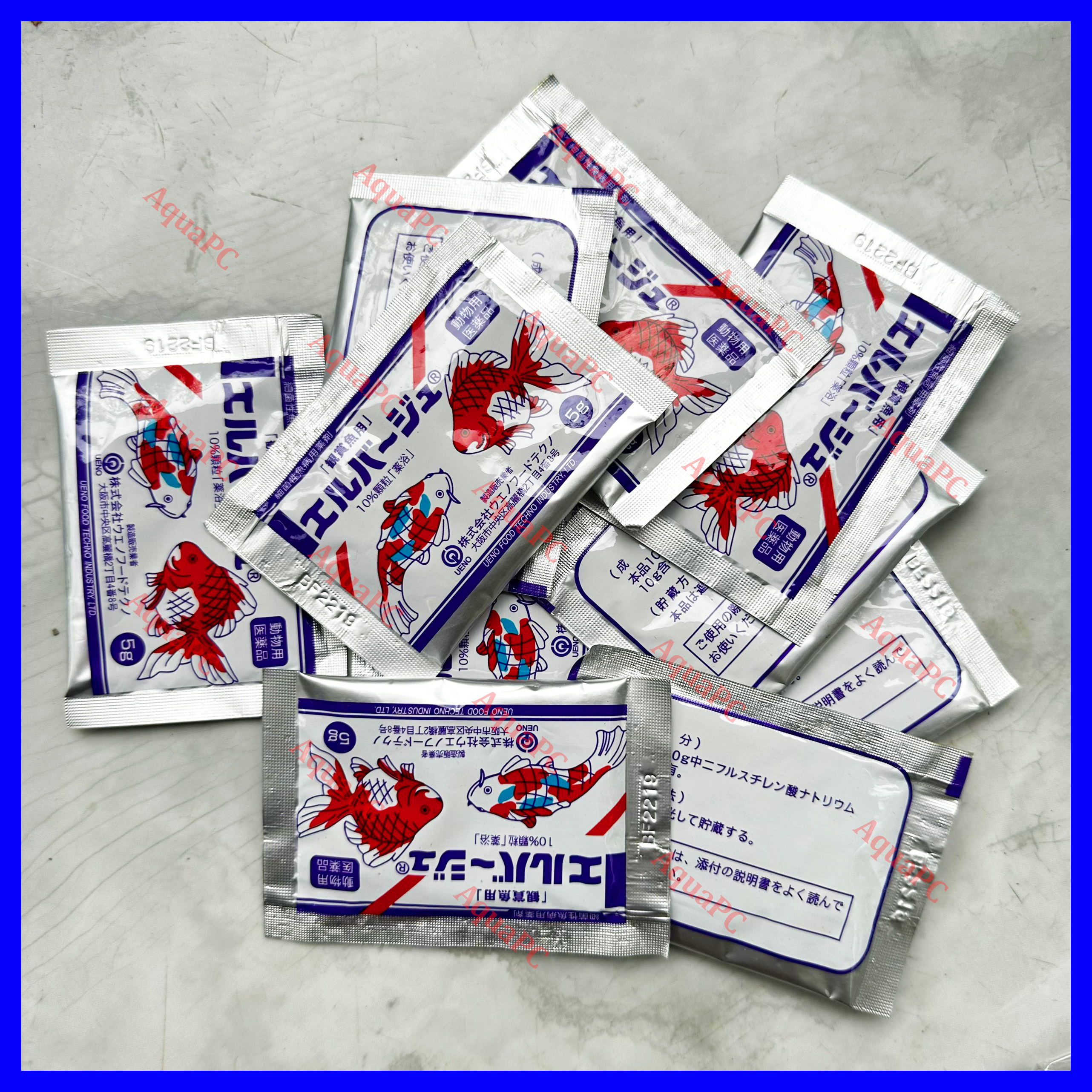 Tetra Nhật trị nấm ở cá cảnh