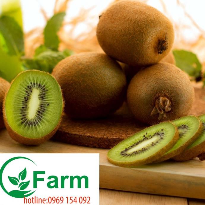 [FREESHIP - Xả Khô Máu] combo 2 cây kiwi