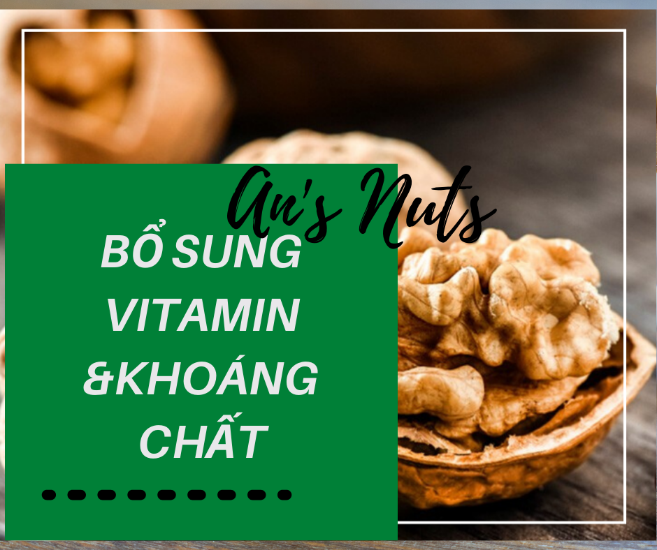 QUẢ ÓC CHÓ CAO CẤP LOẠI I- 500gr