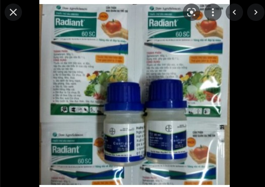 Combo bộ sản phấm diệt bọ trĩ (1 confido+ 1 radiant)