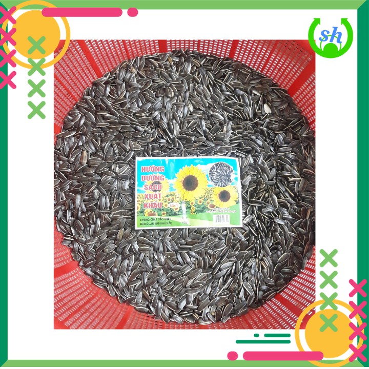 Hạt hướng dương sạch xuất khẩu