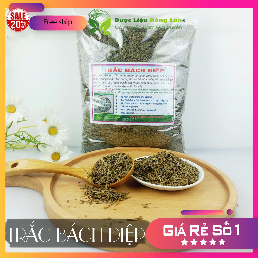 [FreeshipMAX] ✅[THƯỢNG HẠNG] 100g Trắc Bách Diệp đẹp loại 1 - (Hàng chính hãng)