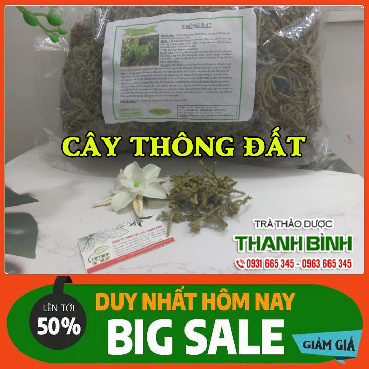 Cây Thông Đất Khô 1KG - Thảo Dược Thanh Bình