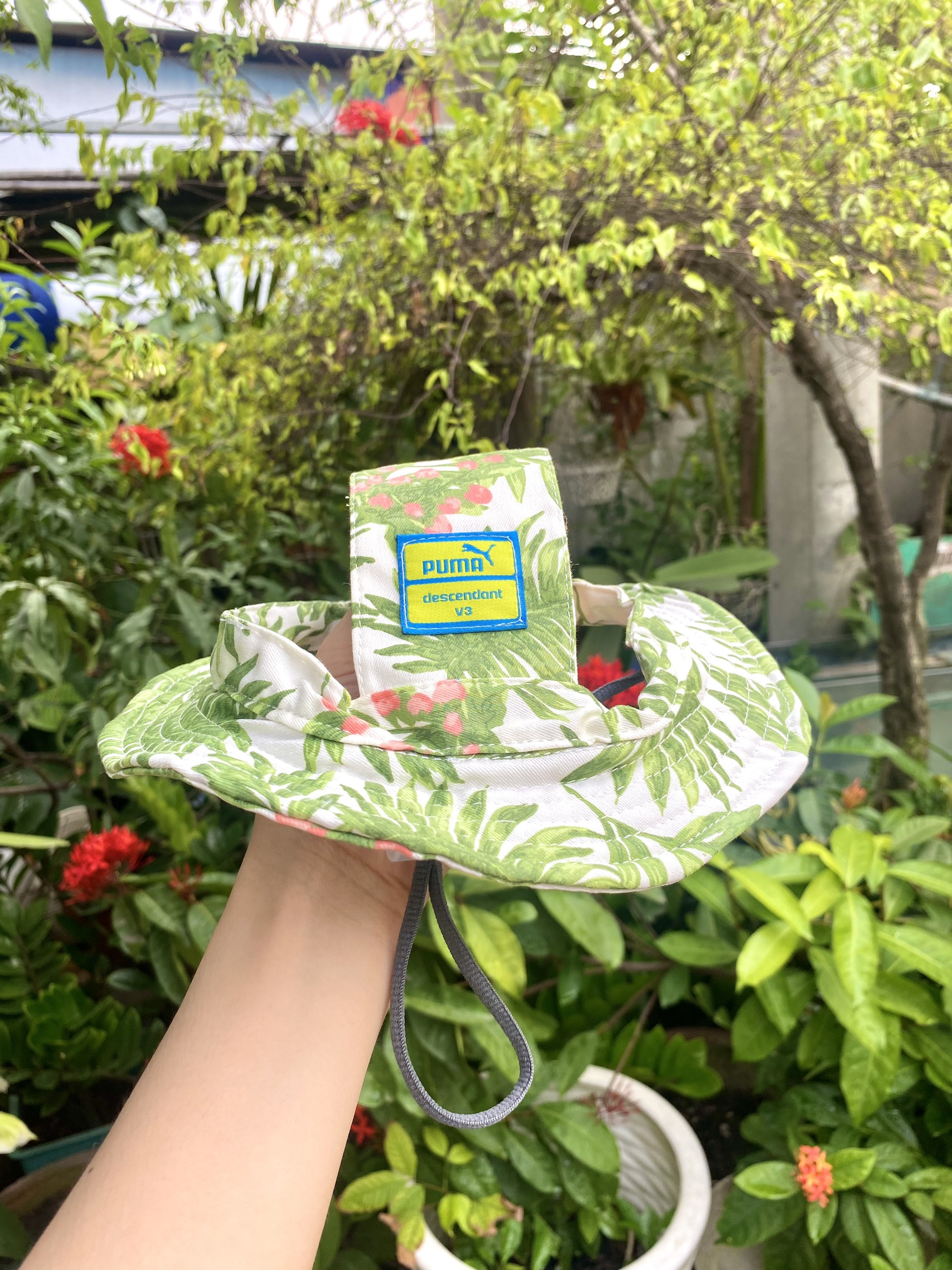 XẢ KHO Nón tai bèo dành cho chó và mèo