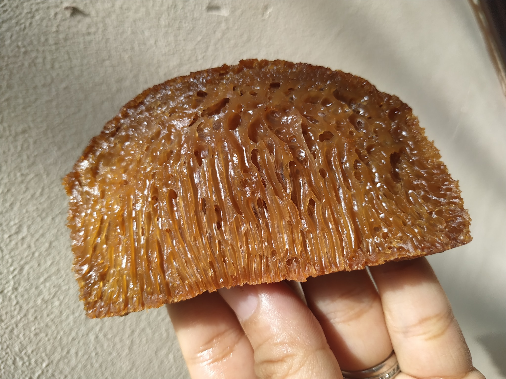 Bánh bò thốt bốt - Bánh bò nướng